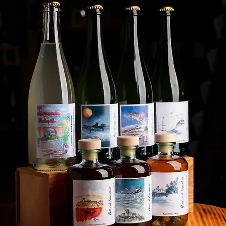 Hotel Restaurant Les Glycines Vieille-Brioude