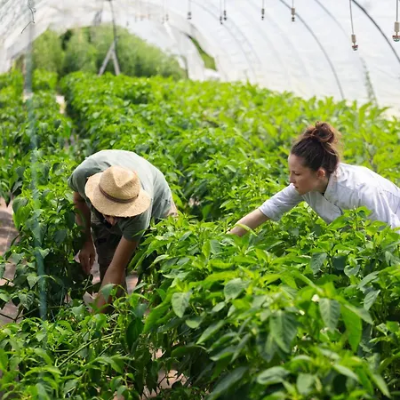 Restaurant Les Glycines