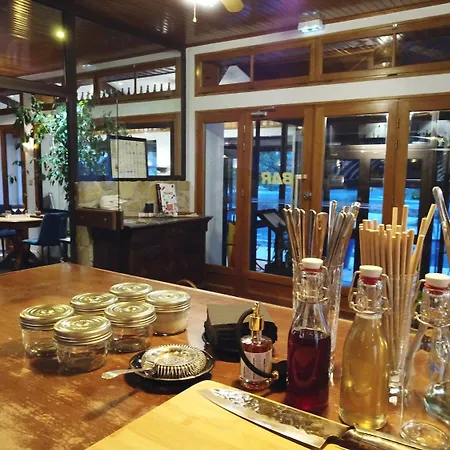 Restaurant Les Glycines Vieille-Brioude
