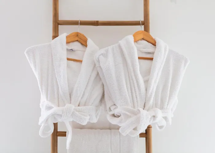 Restaurant Les Glycines 3* Vieille-Brioude