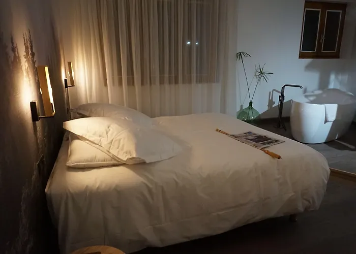 Restaurant Les Glycines 3* Vieille-Brioude